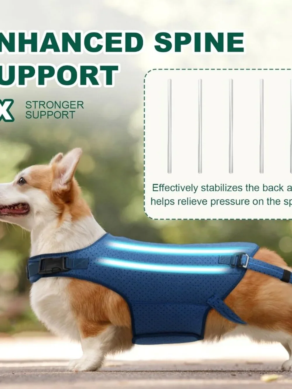 Dog Back Brace for IVDD, Arthritis, Slipped and Herniated Discs